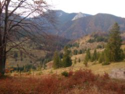 2013-10-26_Schildenstein (388).JPG
